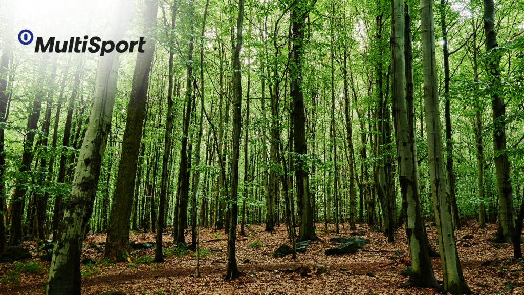Objavte Slovensko s&nbsp;kartou MultiSport