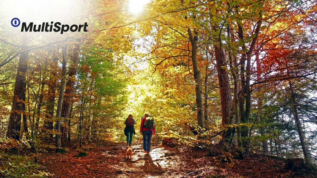 5 tipov na&nbsp;jesennú turistiku